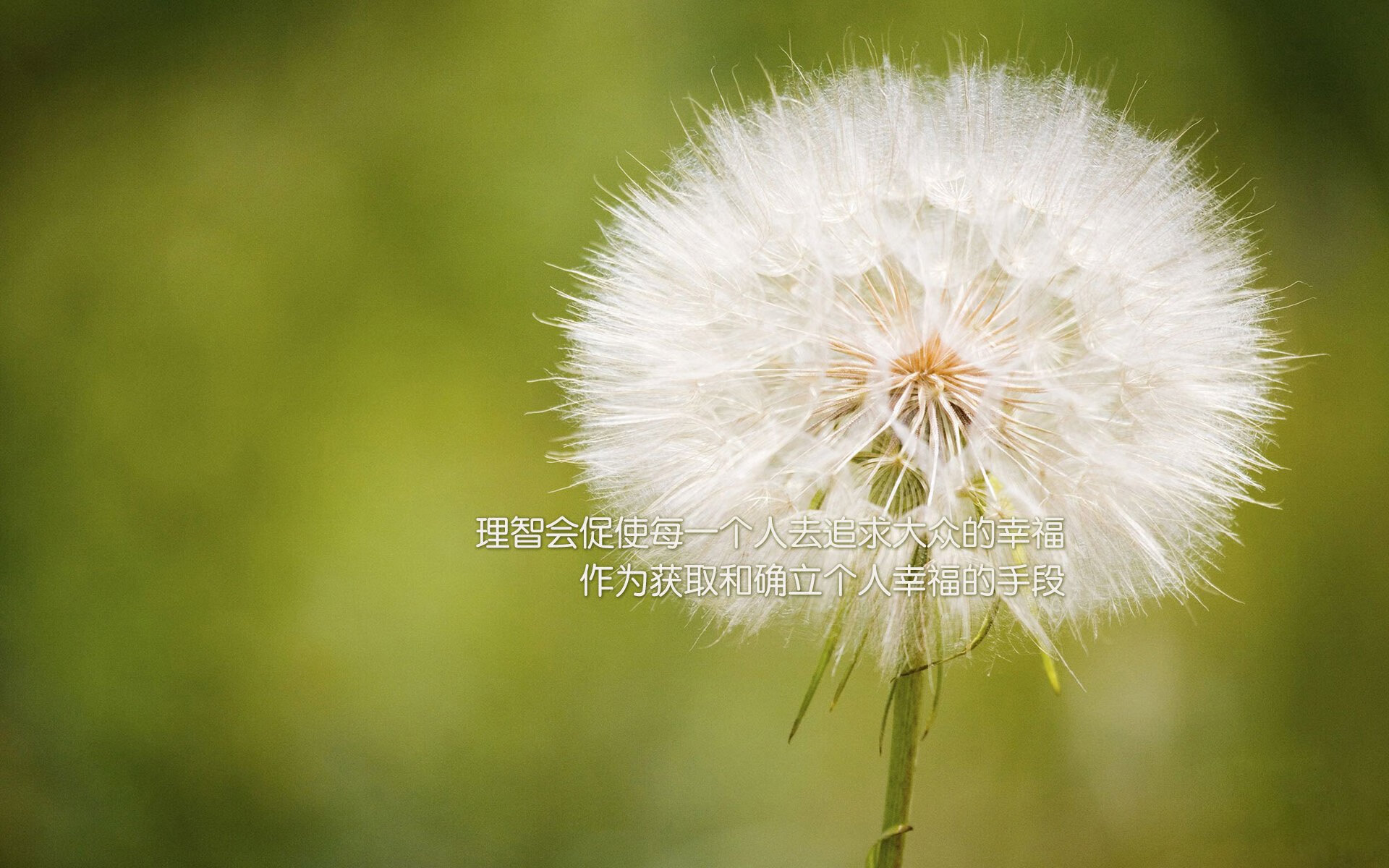 广州恒大客场反超，升至次席位置，广州恒大球场最新进展