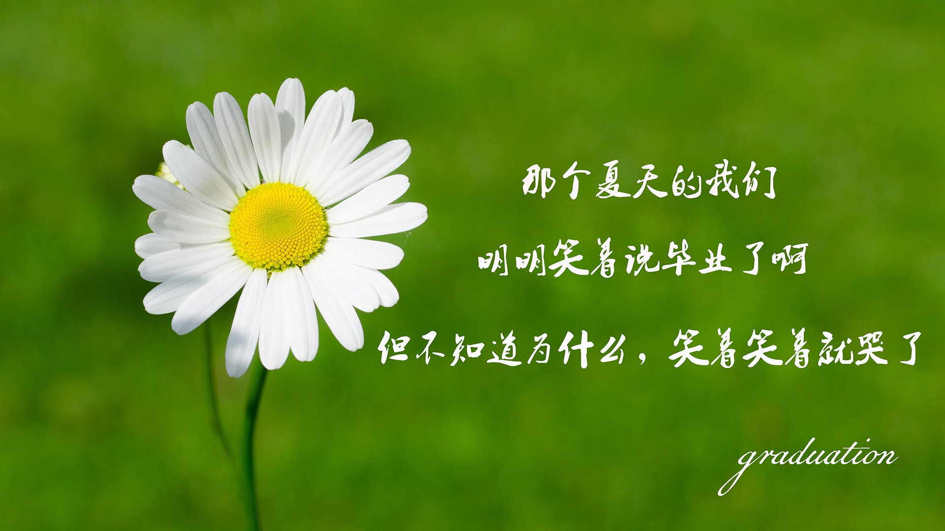 迈阿密国际主场迎战西雅图海湾人，备受关注，迈阿密和西雅图的距离