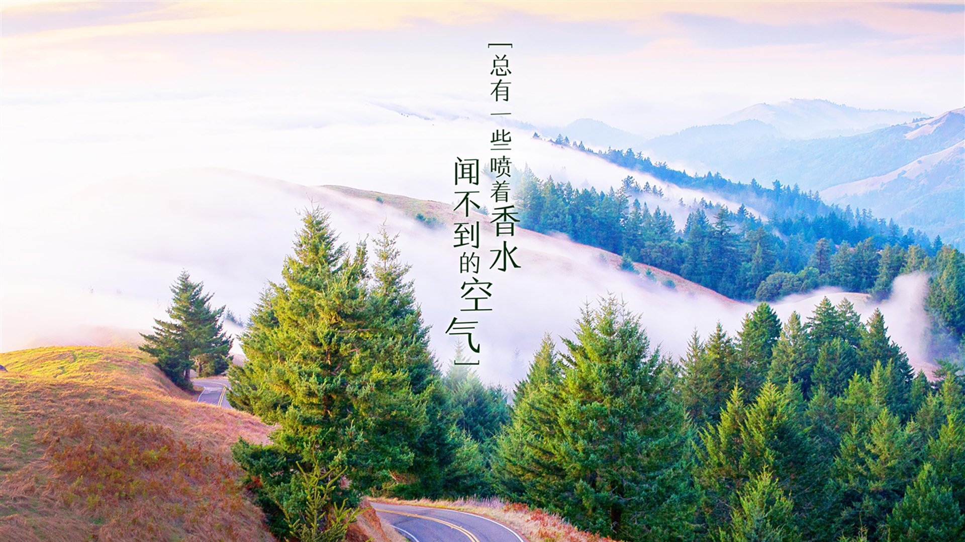博塔弗戈新星突破成亮点，博塔弗戈ds