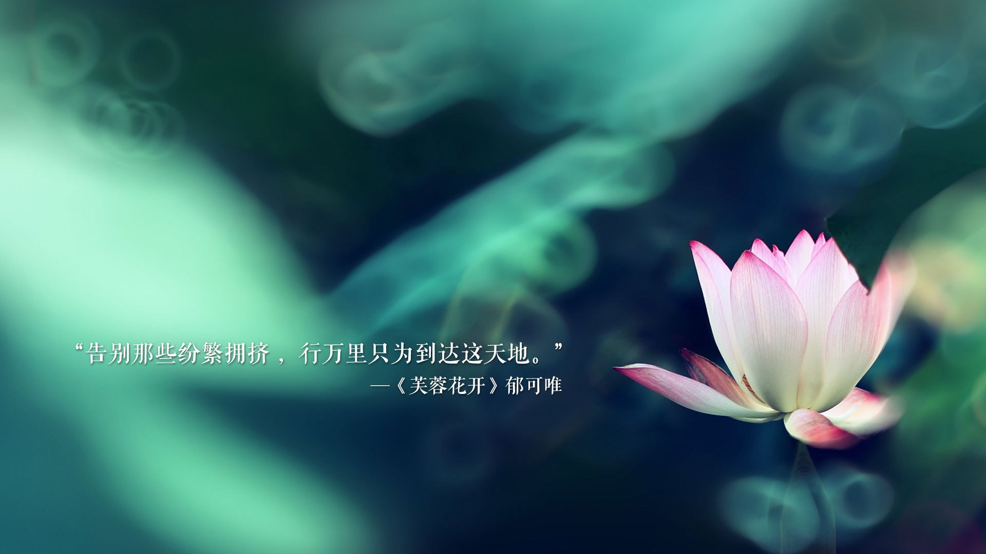 凯尔·查默斯精准起跳夺冠关键,查尔斯凯萁怎么样