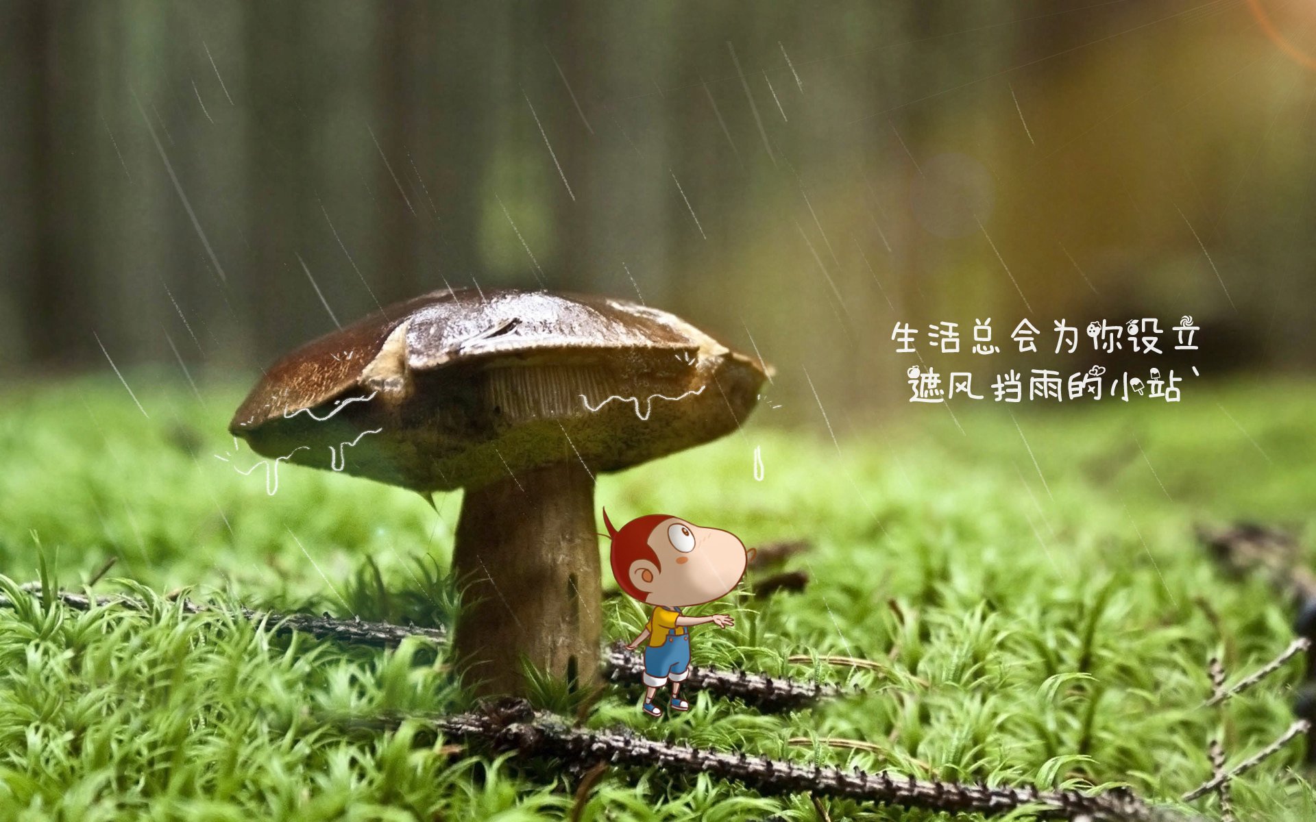 跨界合作推出足球主题的数字文创周边产品,市场反响火爆,足球数字货币有哪些