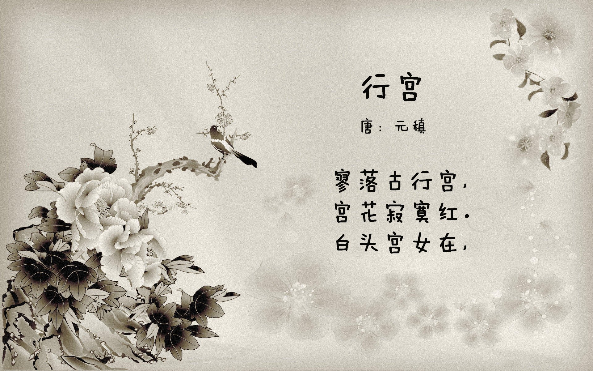 kaiyun开云·官方网站-麦金托什女子200米蝶泳表现亮眼，麦金托什是哪国人